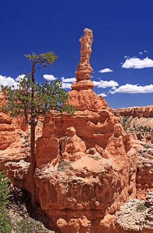 061 bryce canyon, peek a boo trail.JPG